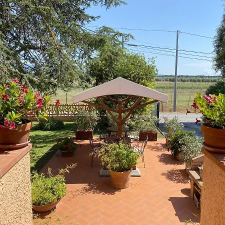 La Mimosa