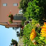 La Mimosa