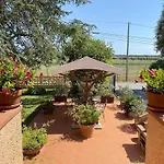 La Mimosa