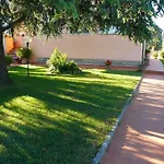 La Mimosa