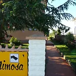 La Mimosa Bolgheri