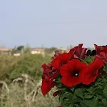 La Mimosa Penzion Bolgheri