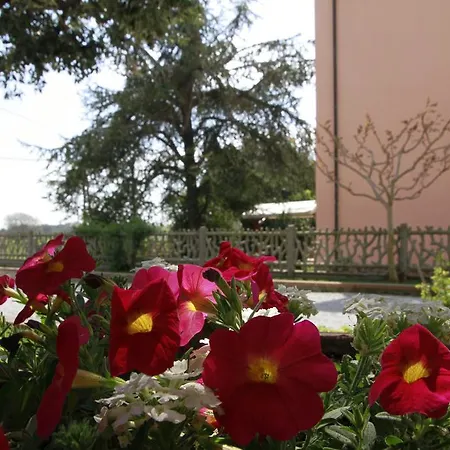 La Mimosa 4* Bolgheri