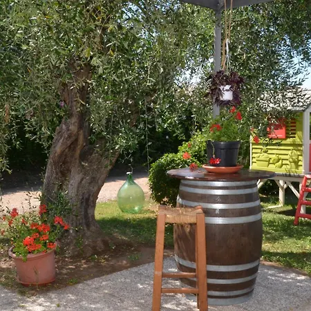 Guest house La Mimosa