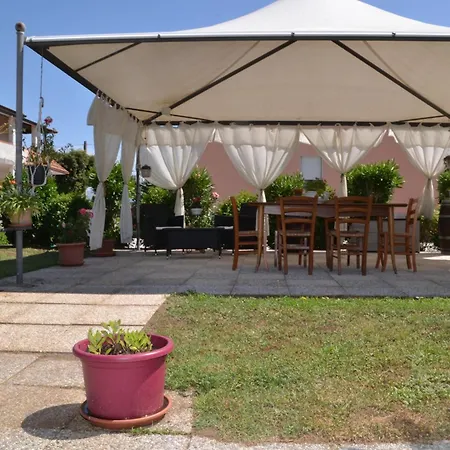 Guest house La Mimosa 2*