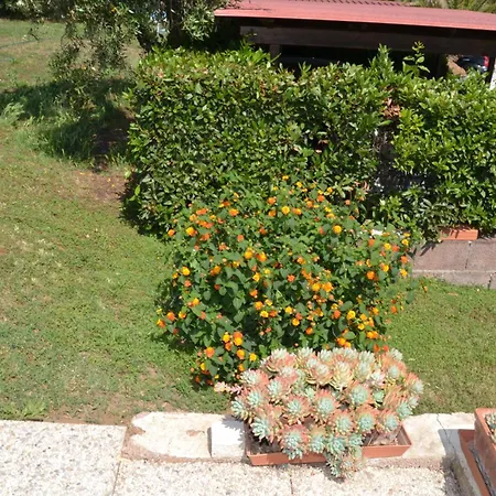 La Mimosa Guest house 2*