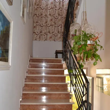 La Mimosa Guest house Bolgheri