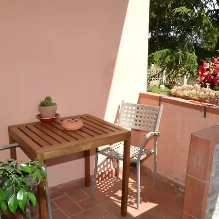 La Mimosa Bolgheri