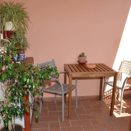 Guest house La Mimosa Bolgheri