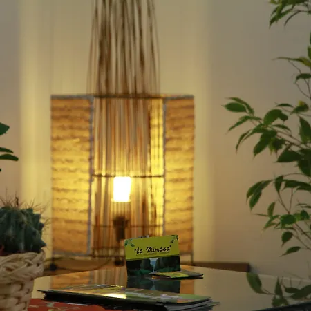 Πανσιόν La Mimosa 4*