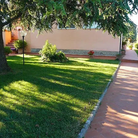 La Mimosa