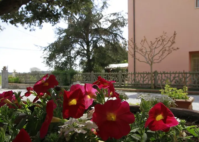 La Mimosa 4* Bolgheri