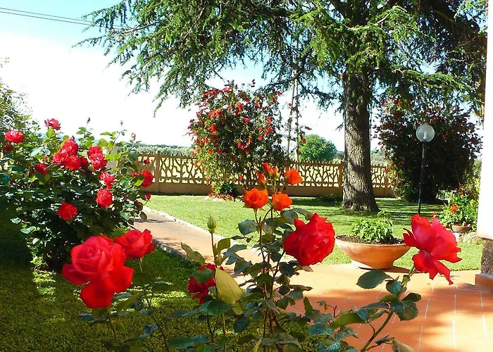 Πανσιόν La Mimosa