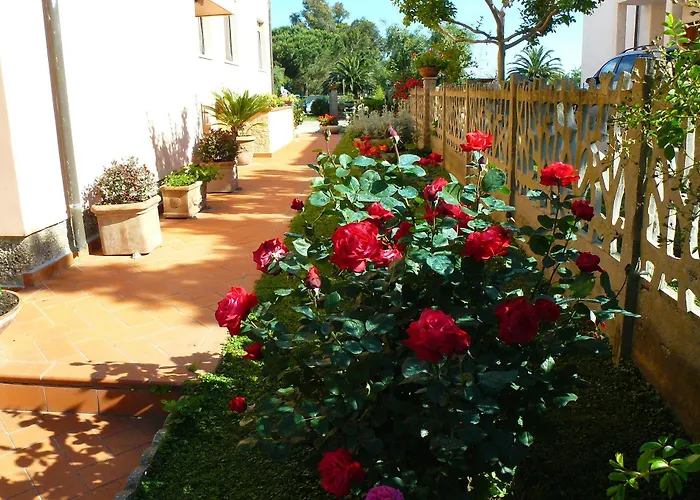 Πανσιόν La Mimosa Bolgheri