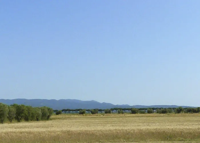 La Mimosa Πανσιόν