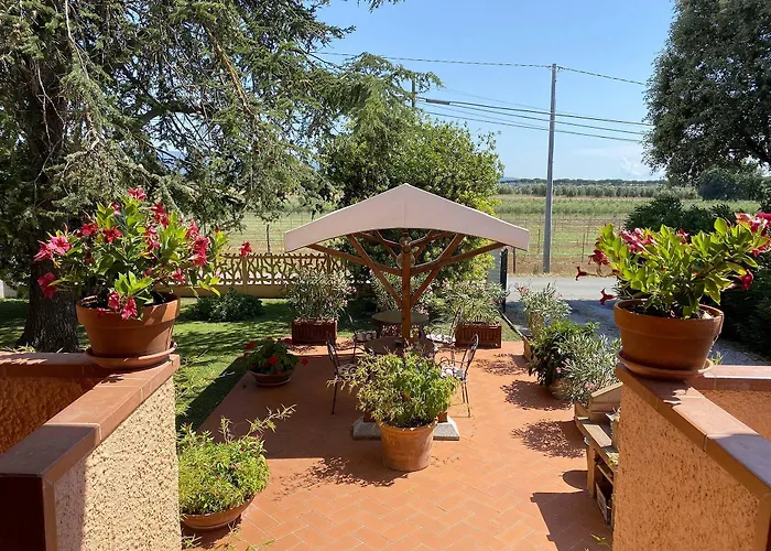 La Mimosa