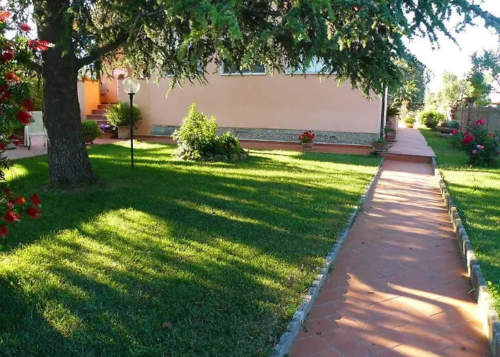 La Mimosa
